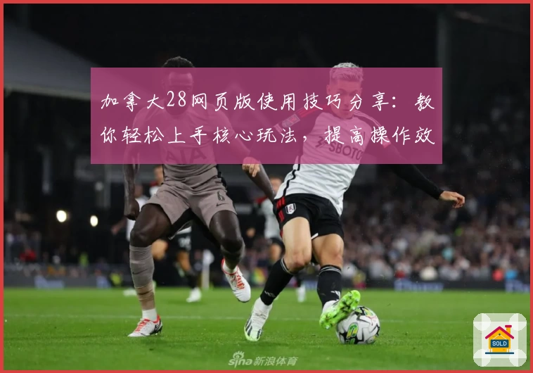 加拿大28网页版使用技巧分享：教你轻松上手核心玩法，提高操作效率