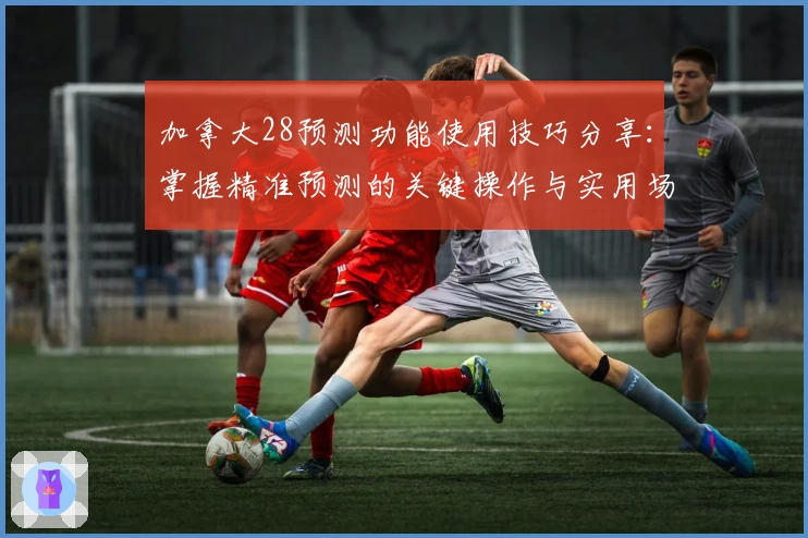 加拿大28预测功能使用技巧分享：掌握精准预测的关键操作与实用场景解析