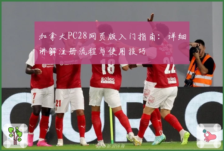 加拿大PC28网页版入门指南：详细讲解注册流程与使用技巧