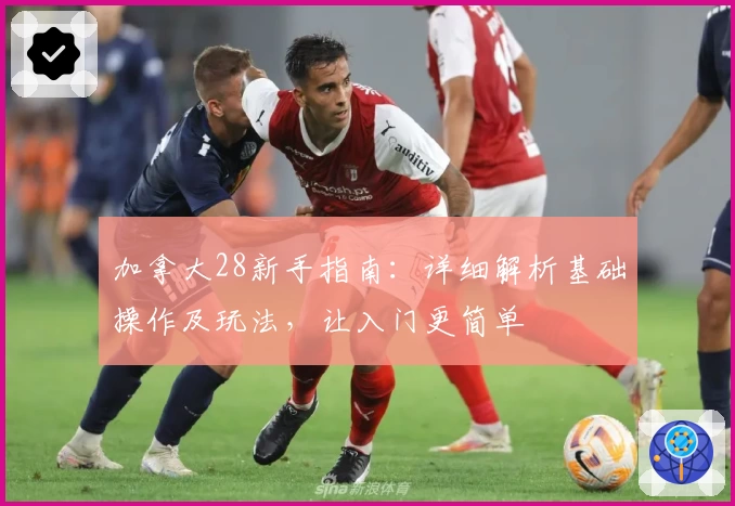 加拿大28新手指南：详细解析基础操作及玩法，让入门更简单