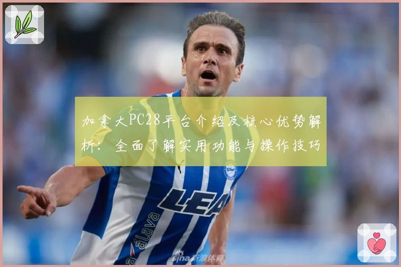 加拿大PC28平台介绍及核心优势解析：全面了解实用功能与操作技巧