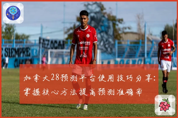 加拿大28预测平台使用技巧分享：掌握核心方法提高预测准确率