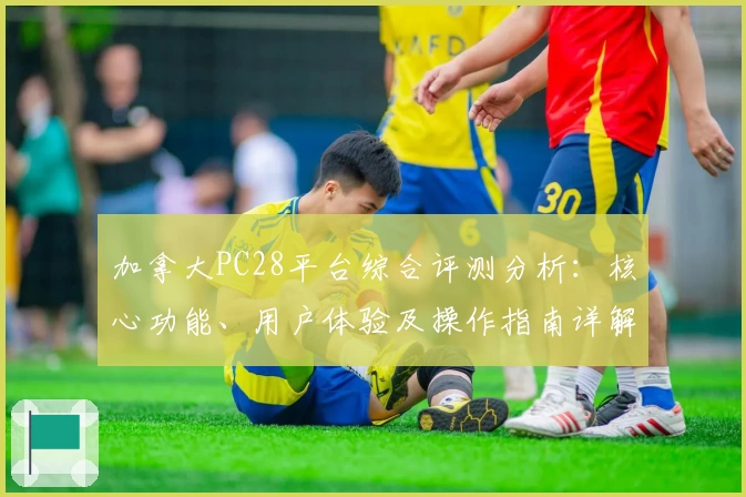 加拿大PC28平台综合评测分析：核心功能、用户体验及操作指南详解