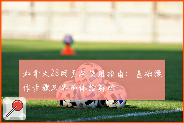 加拿大28网页版使用指南：基础操作步骤及界面体验解析