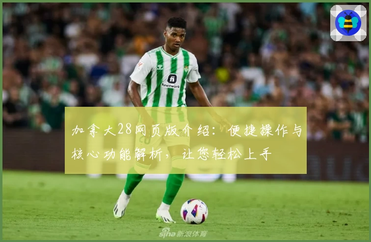 加拿大28网页版介绍：便捷操作与核心功能解析，让您轻松上手