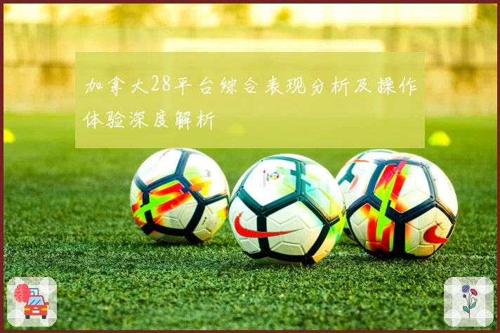 加拿大28平台综合表现分析及操作体验深度解析