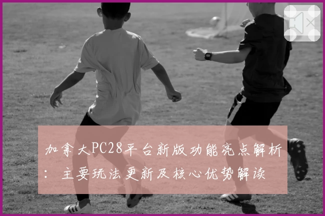 加拿大PC28平台新版功能亮点解析：主要玩法更新及核心优势解读