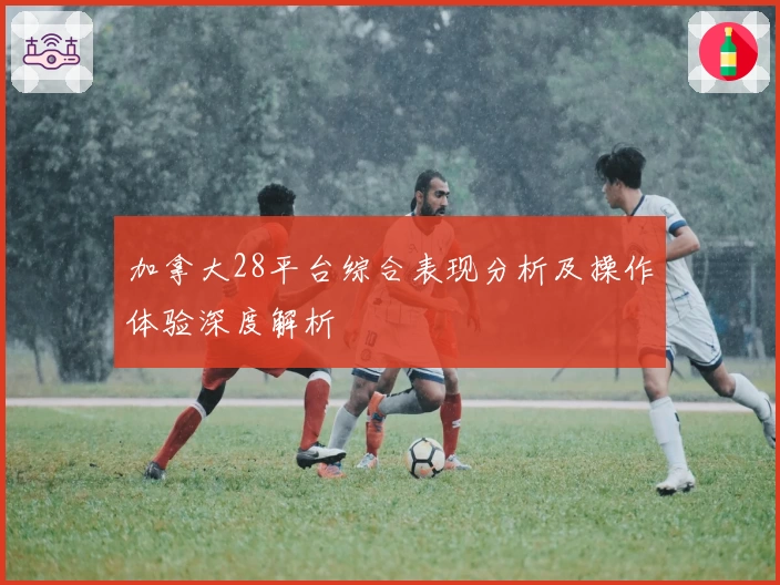 加拿大28平台综合表现分析及操作体验深度解析